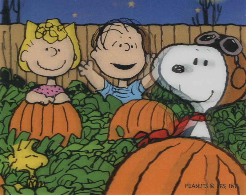 Peanuts Lenticular Card: Sally, Linus, Snoopy (Framed)