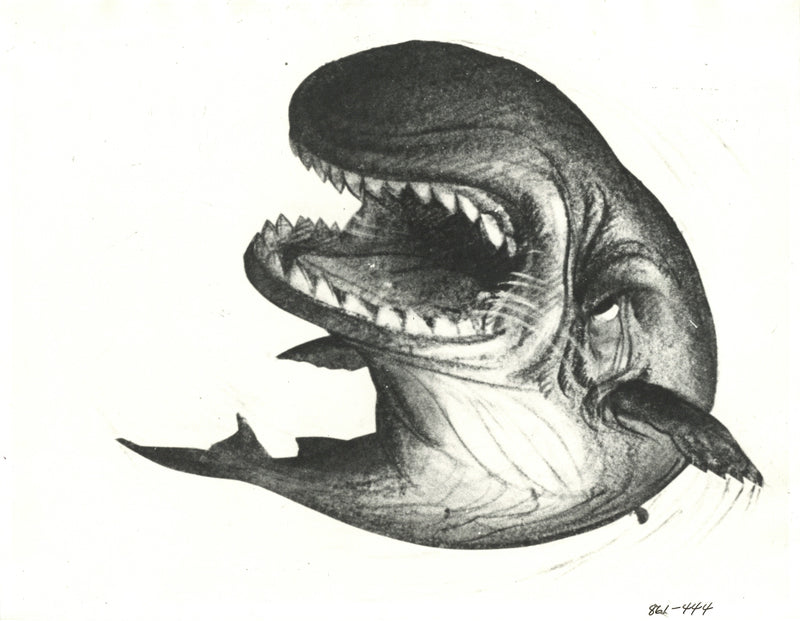 Pinocchio Original Stat Model Print: Monstro