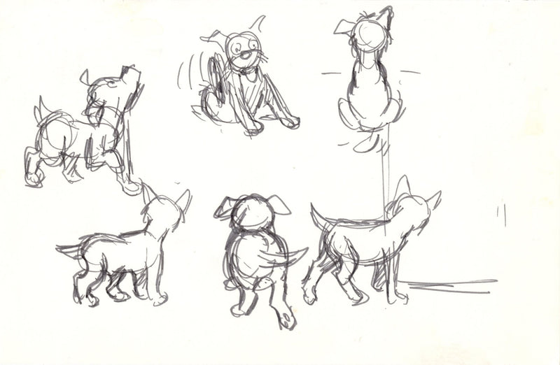 Oliver & Company Original Character Study Drawing: Dodger