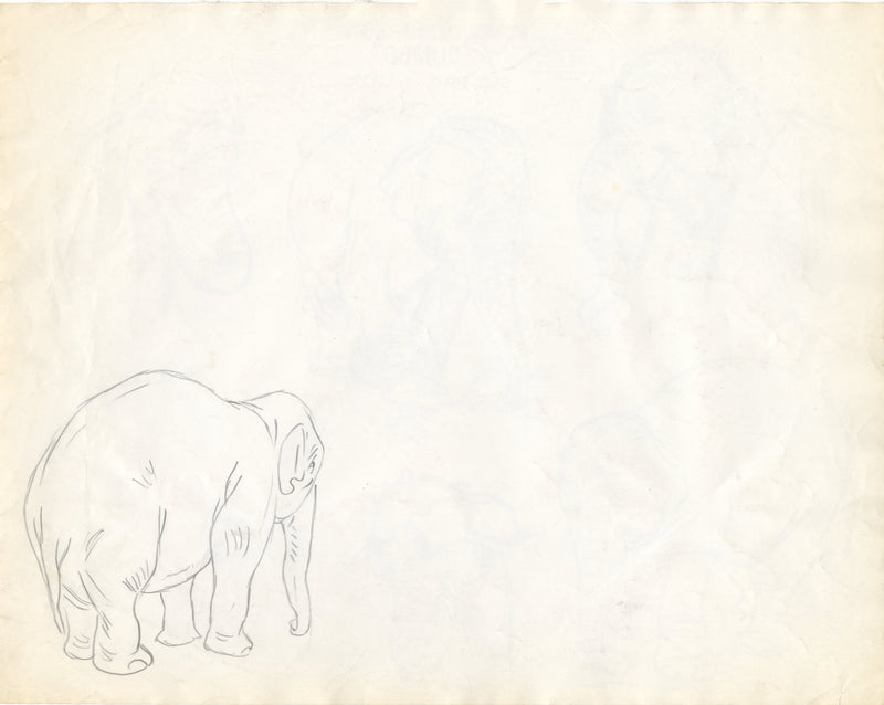 Dumbo Original Stat Model Sheet: Mother Elephant Suggestions