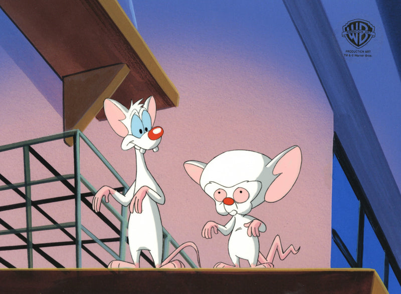 Pinky And The Brain Original Production Cel with Matching Drawing: Pinky and Brain