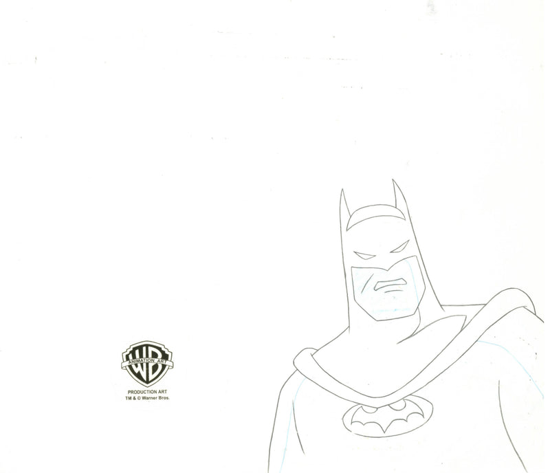 Batman The Animated Series Original Production Cel Signed by Kevin Altieri with Matching Drawing: Batman, Robin