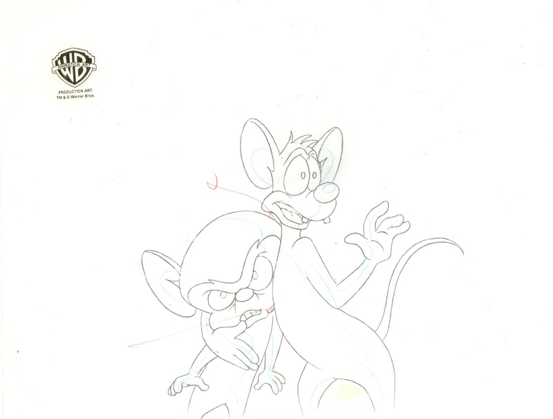 Pinky And The Brain Original Production Cel with Matching Drawing Signed by Tom Ruegger: Pinky, Brain