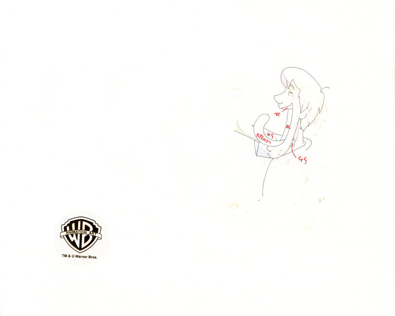 Scooby-Doo on Zombie Island Original Production Cel with Matching Drawing Signed by Bob Singer: Scooby-Doo, Shaggy