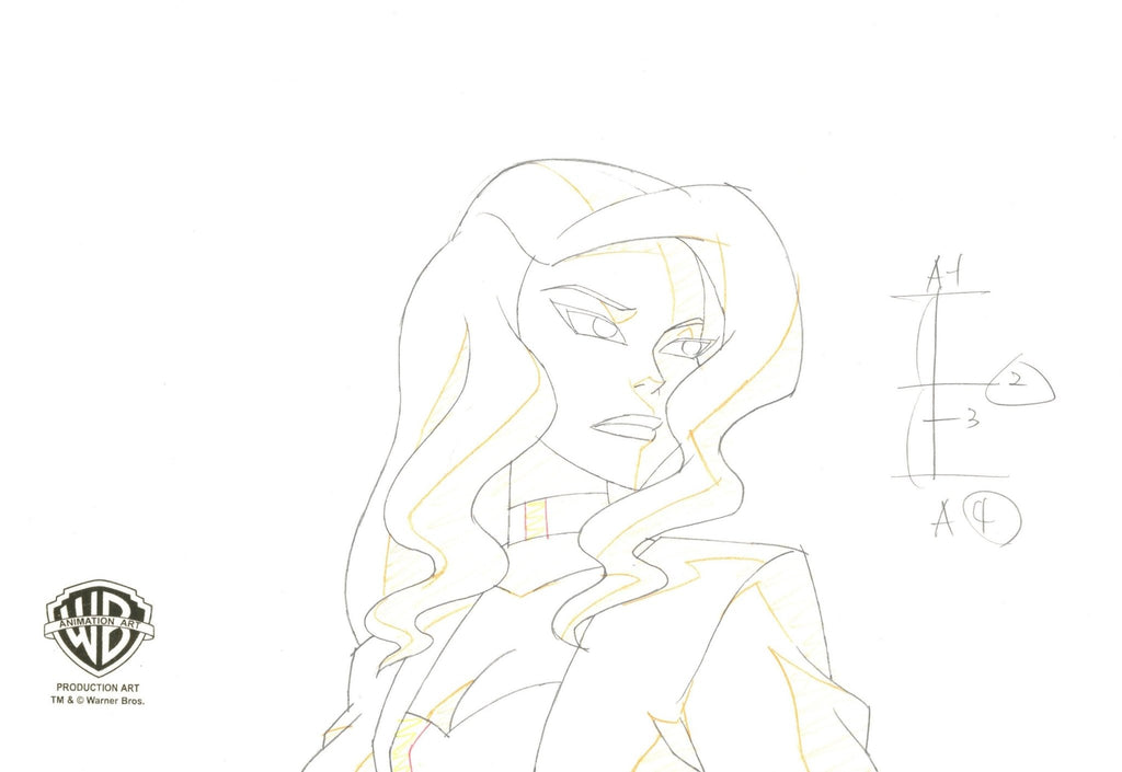 Justice League Original Production Drawing: Black Canary - Choice Fine Art
