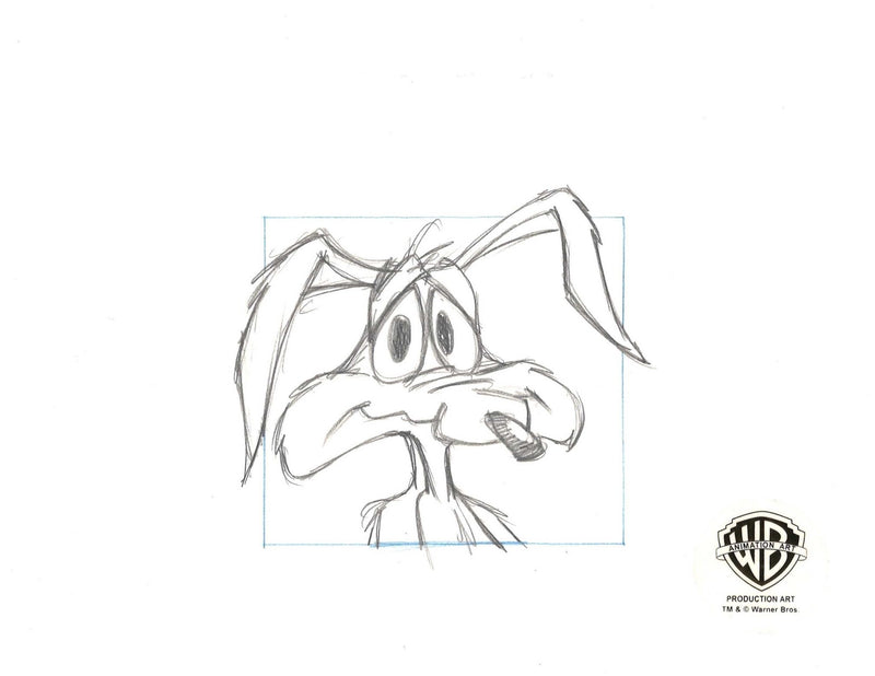 Looney Tunes Original Production Drawing: Wile E. Coyote - Choice Fine Art