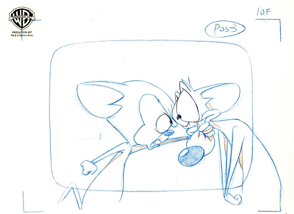 Pinky And The Brain Original Production Drawing: Pinky and Brain - Choice Fine Art