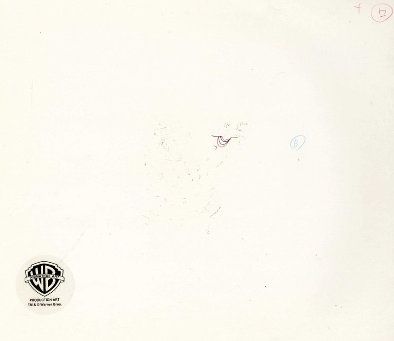 Tiny Toons Original Production Cel With Matching Drawing: Julie Bruin - Choice Fine Art